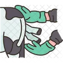 Cow Birth Animal 아이콘