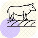 Cow in cropland  Icon