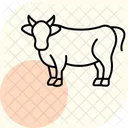 Cow In Field Cow Field Icon