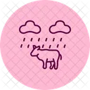 Cow In Rain Cow Rain Icon
