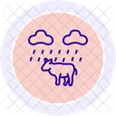 Cow In Rain Cow Rain Icon