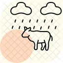 Cow In Rain Cow Rain Icon