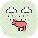 Cow In Rain Cow Rain Icon