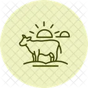 Cow In Sunset Cow Sunset Icon