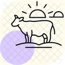 Cow In Sunset Cow Sunset Icon