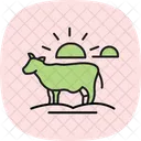 Cow In Sunset Cow Sunset Icon