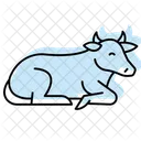 Cow Lying In Grass Cow Lying Icon