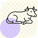 Cow Lying In Grass Cow Lying Icon