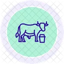 Cow Milking Scene Cow Milking Icon
