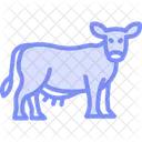 Cow on organic grass  Icon