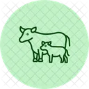 Cow With Calf Cow Calf Icon