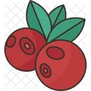 Cowberry  Icon