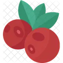 Cowberry  Icône