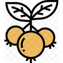 Cowberry  Icon