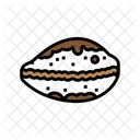 Cowrie  Icon