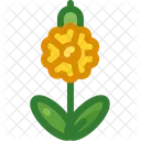 Cowslip Flower Growth Icon