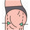 Coxa  Ícone