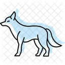 Coyote Mammal Canine Icon