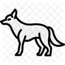 Coyote Mammal Canine Icon