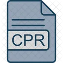 RCP  Icono