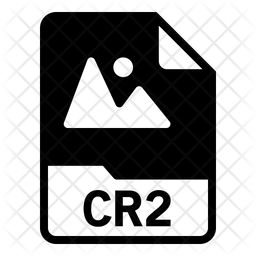 Cr2 File Icon Of Glyph Style Available In Svg Png Eps Ai Icon Fonts