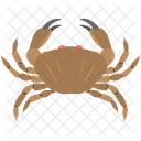 Cancer Crab Sign Icon