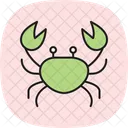 Crab Hermit Ocean Icon