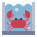 Crabe  Icône