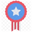 Distintivo dos estados unidos  Icon