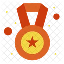 Distintivo de estrela  Icon