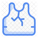 Crack Armor Shield Protection Icon