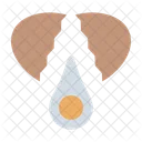 Crack Egg Egg Yolk Icon