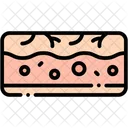 Cracked Skin Skincare Dermatology Icon