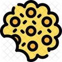 Cracker Snack Biscuit Icon