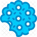 Cracker Snack Biscuit Icon