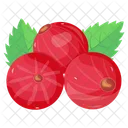Cranberries  Icon