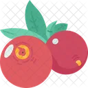 Cranberries  Icon