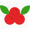 Cranberries Fruit Berries Icon