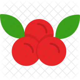 Cranberries  Icon