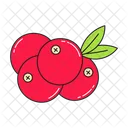 Cranberries Icon