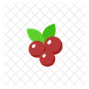 Cranberries  Icon