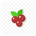 Cranberries Fruit Food Icon