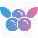Cranberries Fruit Berries Icon