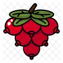 Cranberry  Icon