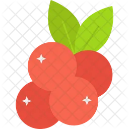 Cranberry  Icon