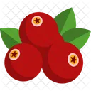 Cranberry Fruit Healthy Icon