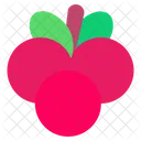 Cranberry Berry Fruits Food Icon