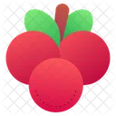 Cranberry Berry  Icon