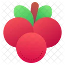 Cranberry Berry Fruits Food Icon
