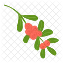 Fruits Berries Branch Icon